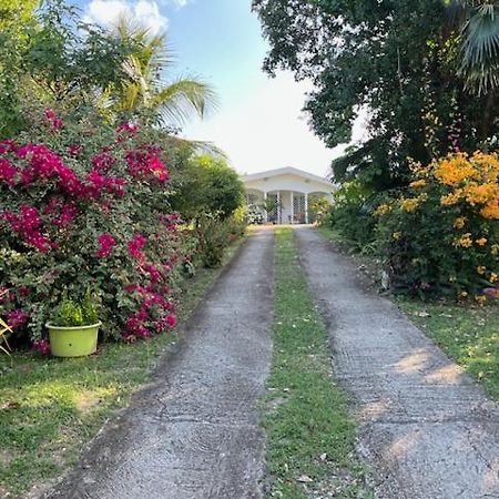 Jardin Des Anges-Bungalows Creoles Et Studio Le Moule Εξωτερικό φωτογραφία