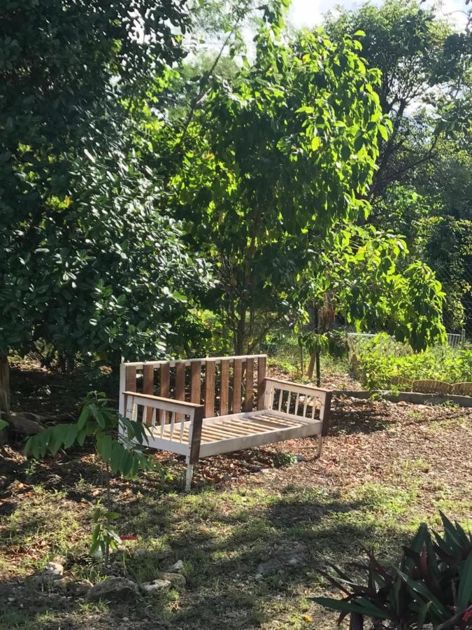 Jardin Des Anges-Bungalows Creoles Et Studio Le Moule Εξωτερικό φωτογραφία