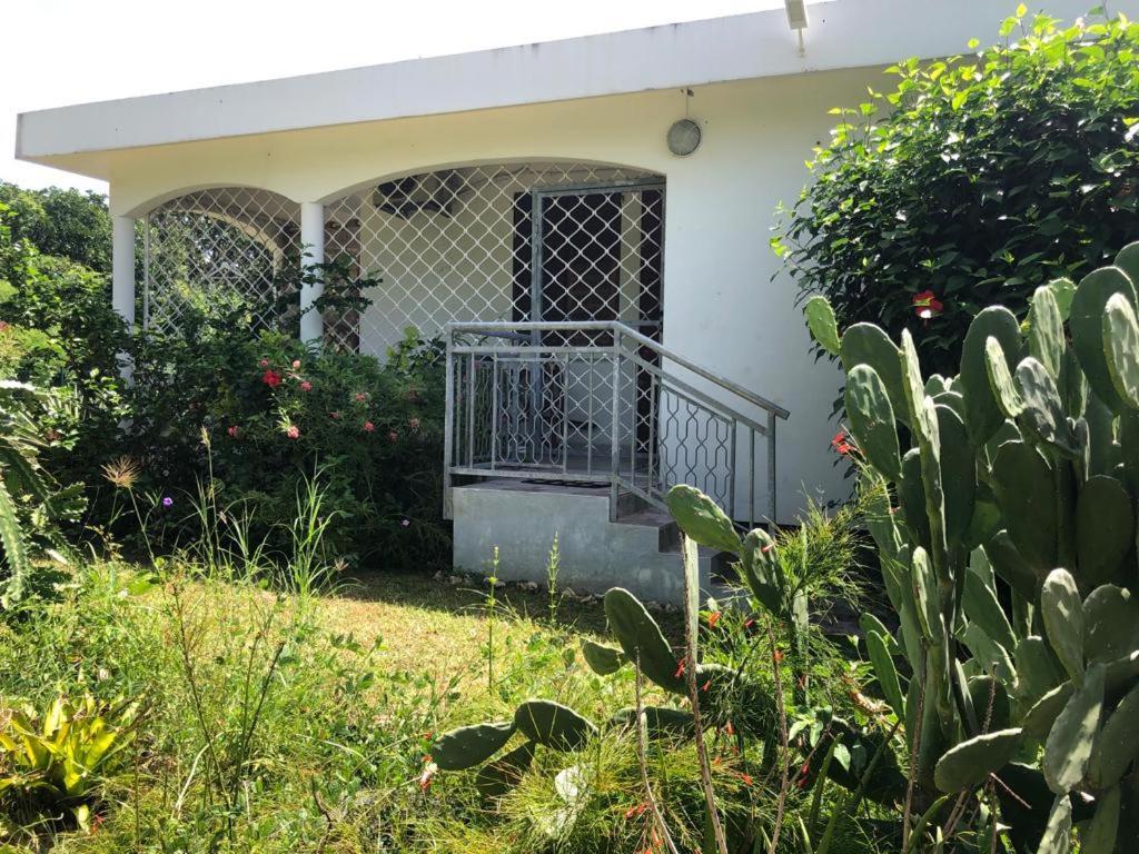 Jardin Des Anges-Bungalows Creoles Et Studio Le Moule Εξωτερικό φωτογραφία