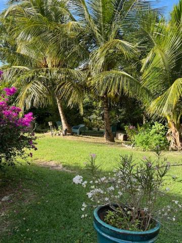 Jardin Des Anges-Bungalows Creoles Et Studio Le Moule Εξωτερικό φωτογραφία
