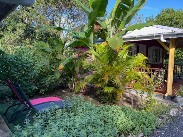 Jardin Des Anges-Bungalows Creoles Et Studio Le Moule Εξωτερικό φωτογραφία